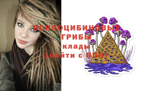 герыч Верхний Тагил